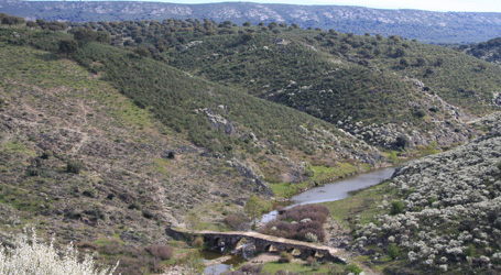 Parque Nacional de Monfragüe - Puente romano