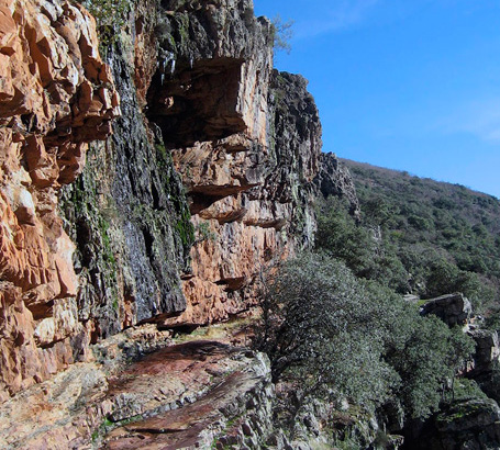 Parque Natural Los Alcornocales - Cornisas del Chorro