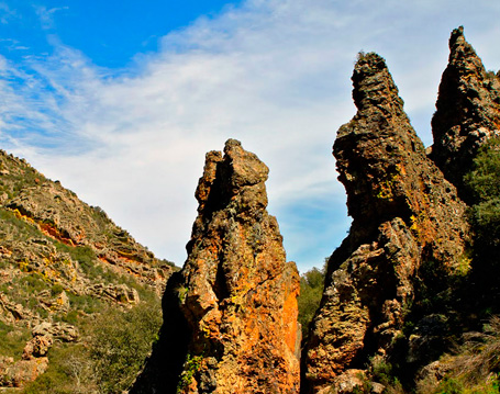 Parque Natural Cabañeros - El Parque