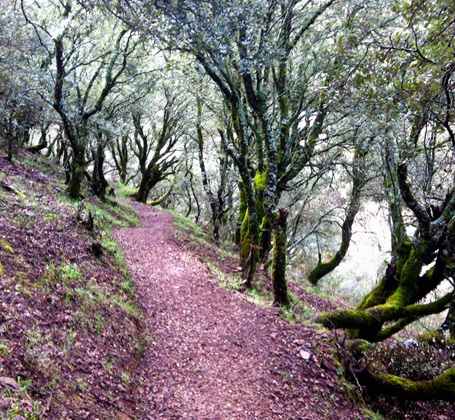 Parque Natural Cabañeros - Hábitat