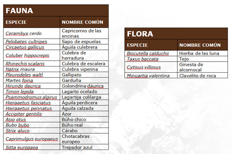 Parque Natural de la Sierra de Espadán - Tabla de fauna