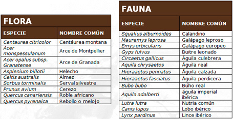 Parque Natural de Despeñaperros - Vegetación, flora y fauna.