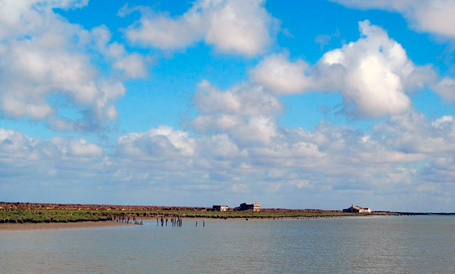 Parque Natural de Doñana - El Parque