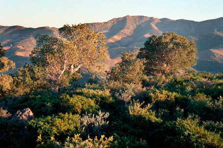 Parque Natural La Sierra de la Albera - El Parque