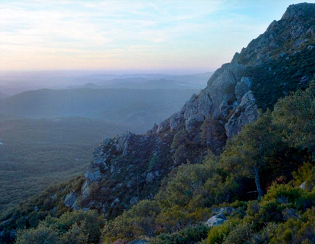 Parque Natural de Los Alcornocales - El Parque