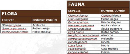 Parque Natural de Los Alcornocales - Vegetación, flora y fauna.