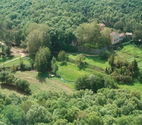Parque Natural Montnegre y el Corredor - El Parque