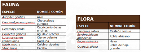 Parque Natural Montnegre y el Corredor - Tabla de fauna