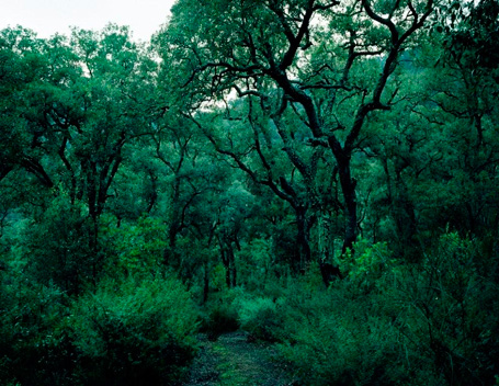Parque Natural del Montseny - Parque Natural