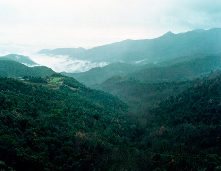 Parque Natural del Montseny - El Parque