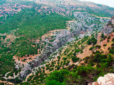 Parque Natural Sierra de Grazalema - Cañón de las Buitreras