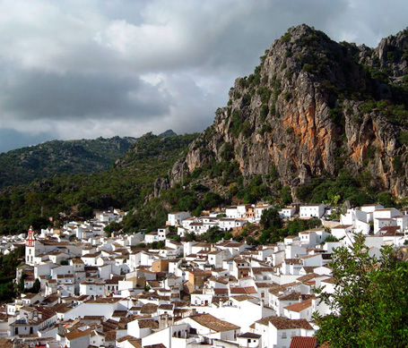 Parque Natural Sierra de Grazalema - El Parque