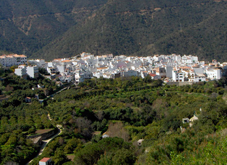 Parque Natural Sierra de las Nieves - Istán