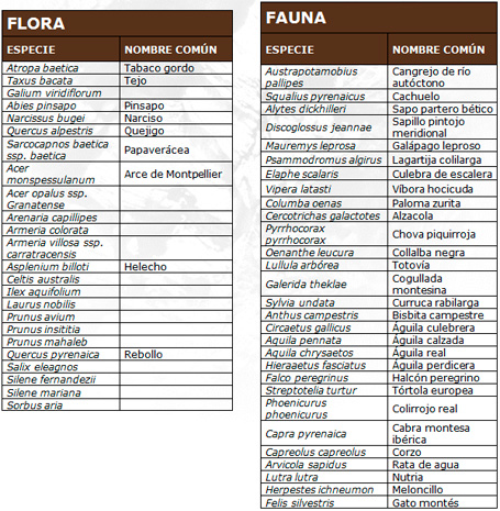 Parque Natural Sierra de las Nieves - Vegetación, flora y fauna.
