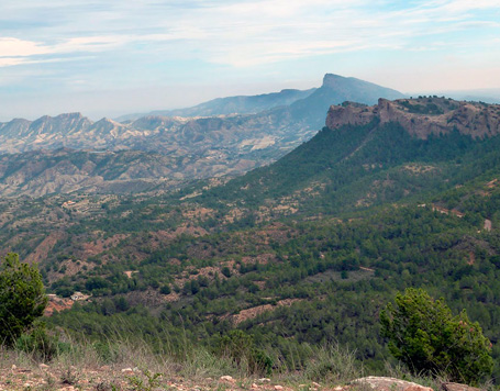 Parque Regional El Valle y Carrascoy - El Relojero
