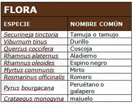 Zona de Interés Regional de la Sierra de Sanpedro - Tabla de flora
