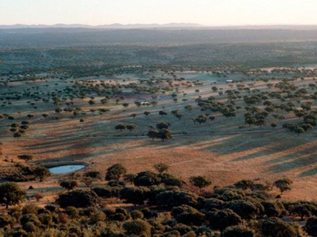 Zona de Interés Regional de la Sierra de Sanpedro - El Parque