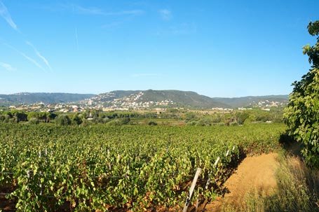 Calonge - El Municipio