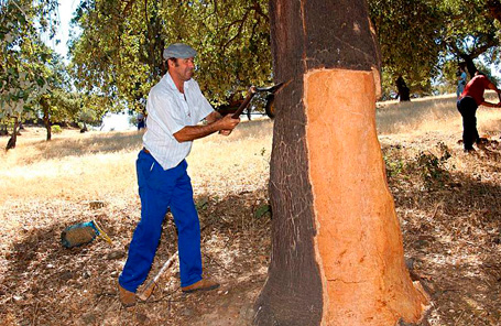 Mancomnunidad Sierra de San Pedro - El Corcho