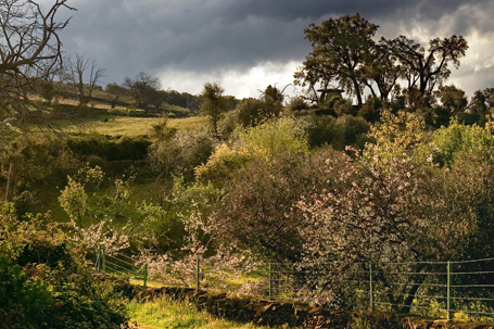 Mancomnunidad Sierra de San Pedro - El Municipio