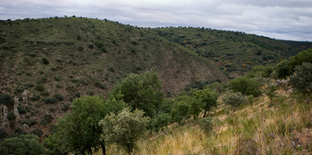 Muelas del Pan - Patrimonio histórico construido