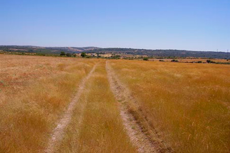 Hornachuelos - El Municipio